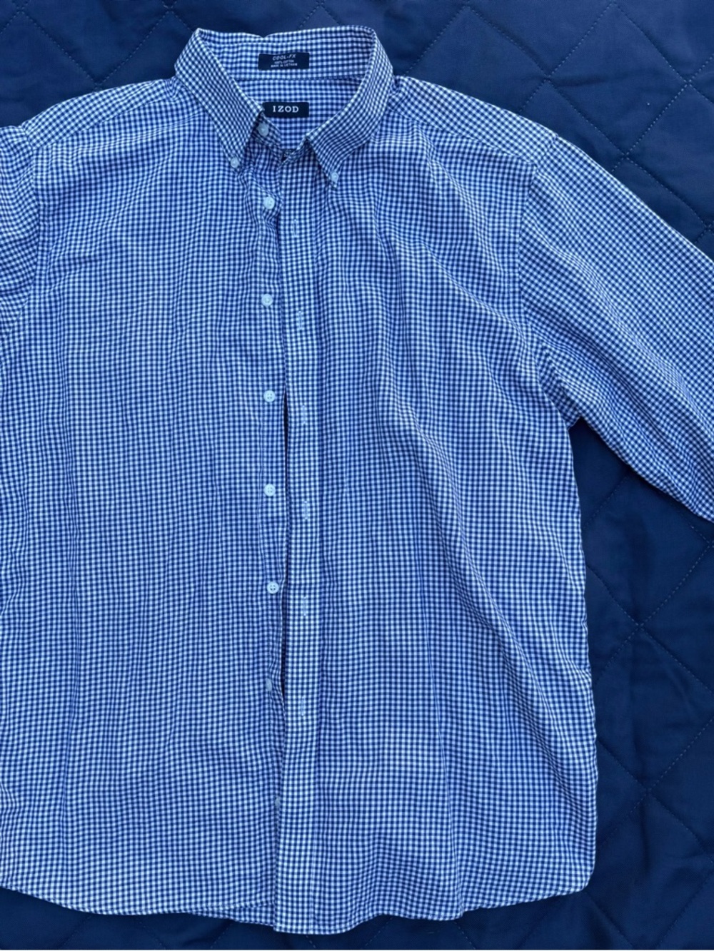 Izod Blue and White Gingham Button-Down Shirt